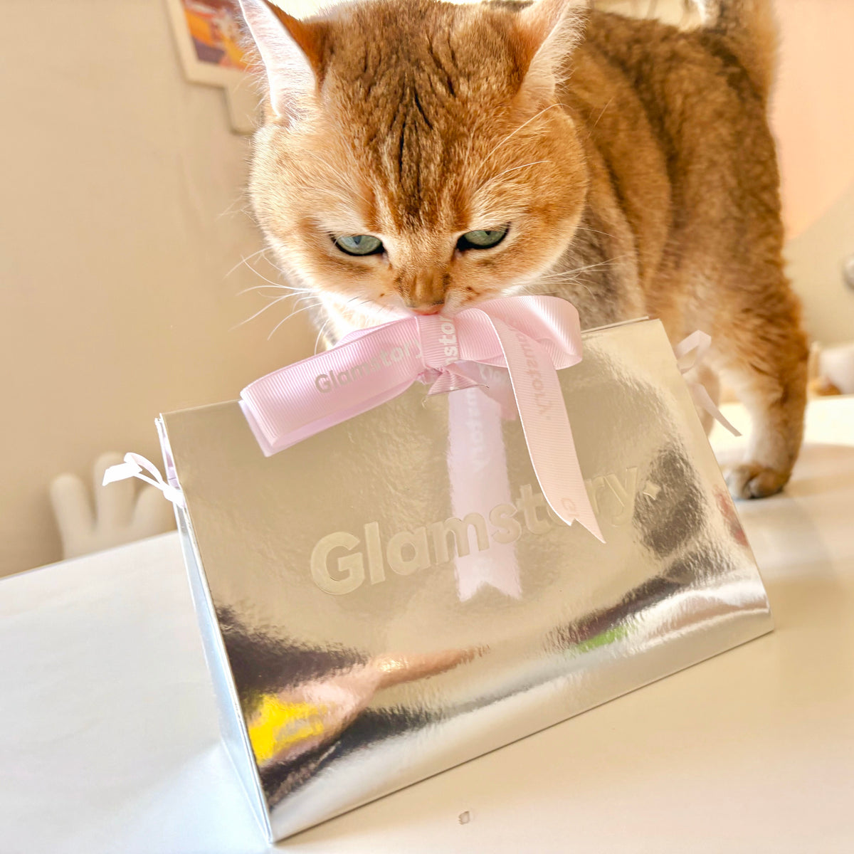 Glamstory Gift Box